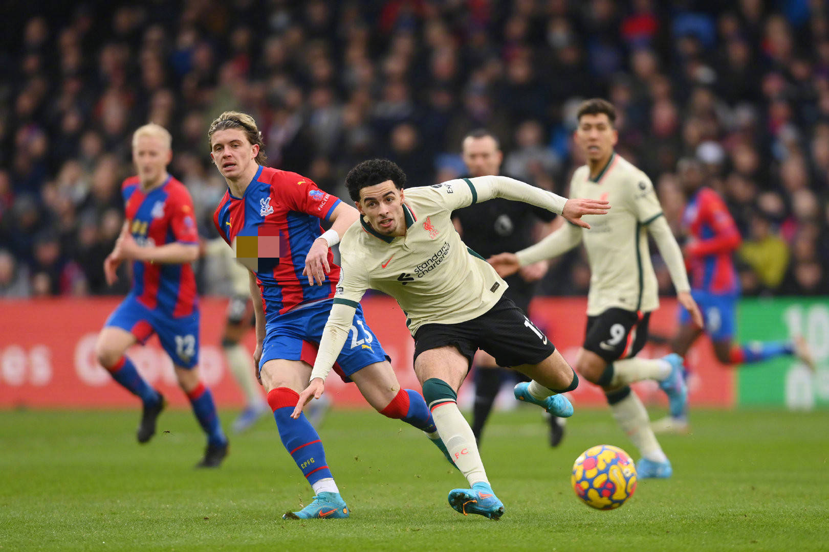 經過科學的 經過科學的