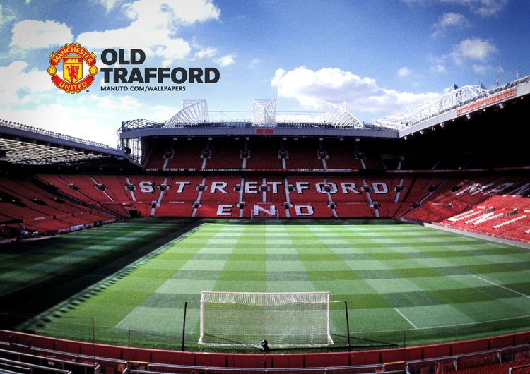 的新选手取 的新选手取